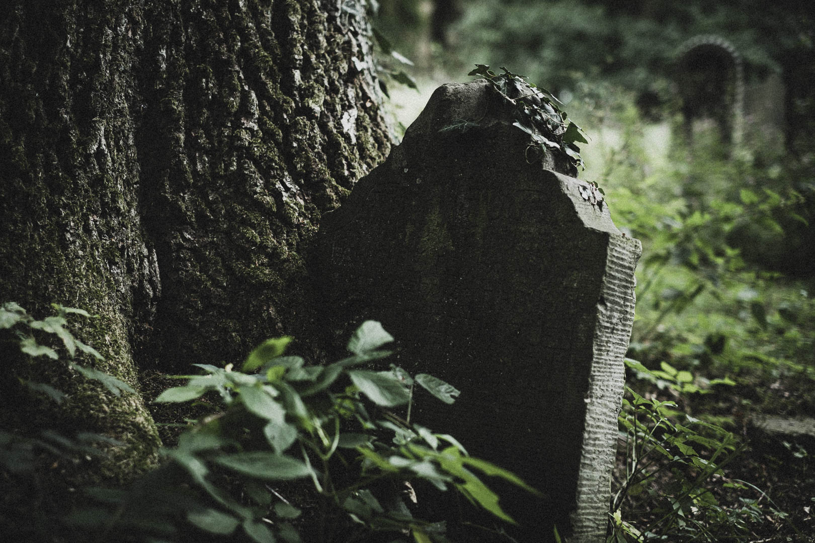 Obernkirchen, Jüdischer Friedhof